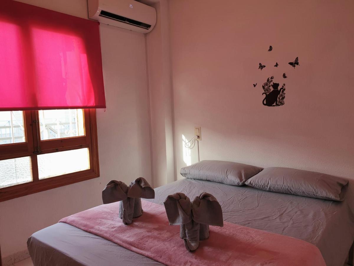 Appartamento Penthouse Residencial Virginia Torrevieja Esterno foto